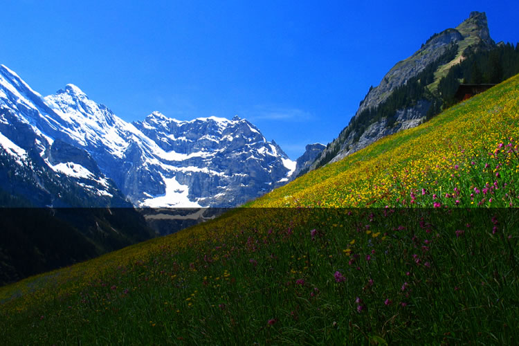 Swiss Lakes & Mountains - Fifth slide